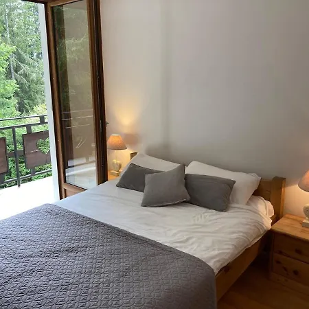 Chalet Cozy