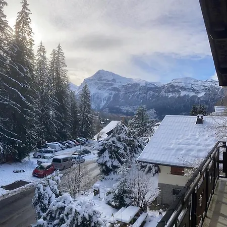 Chalet Cozy *